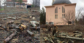 Tayini çıkan imam cami bahçesindeki ağaçları kesti