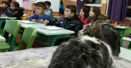 Soğuktan kurtardıkları kedi, sınıfın maskotu oldu