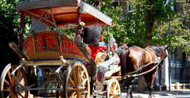 İBB Adalar'daki faytonları satın almaya karar verdi