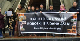 Roboski İçin Adalet Girişimi: Katliam cezasızlıkla ödüllendirildi