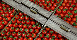 TIR'lar Rusya kapısında: Sektörde endişeli bekleyiş