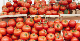 İdlib gerginliği Rusya'ya domates sevkiyatını vurdu