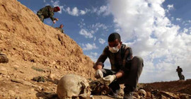 Irak'ta IŞİD'in katlettiği 1000 kişinin toplu mezarı bulundu