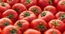 TIR'lar sınırda bekliyor: Türkiye domatesine 'İdlib kotası'