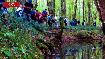 9 bin ağaç tehlikede, bilirkişiler uyardı: Proje orman bütünlüğüne zarar verecek