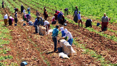 'Tarımda harekete geçilmezse açlık salgını başlayacak'