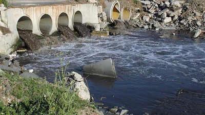 ÇMO: Kaçak deşarjlar nedeniyle virüs deniz canlıları tarafından taşınabilir