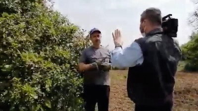 İBB tepki göstermişti: 'Limon'lu kurmaca haberin aktörleri ortaya çıktı