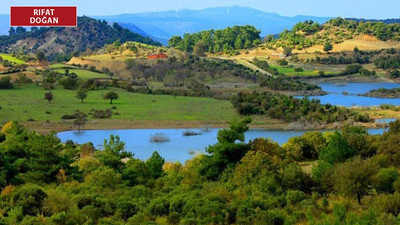 Kazdağları’na iyi haber: Termik santralin ÇED raporu iptal