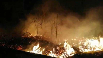 Rize'deki orman yangını söndürüldü