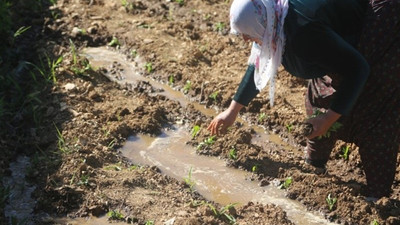 Coronavirus sonrası işsizlik, açlık kıskacı: Kentten köye dönüş başladı