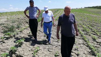 Sıcak ve rüzgarın etkili olduğu Karaisalı'da afet ilanı talebi