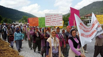 Antalya’nın mor üzümü HES tehdidi altında