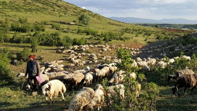 Dersim'de askerlerden yaylacılara: Oradan inin hoşumuza gitmiyorsunuz