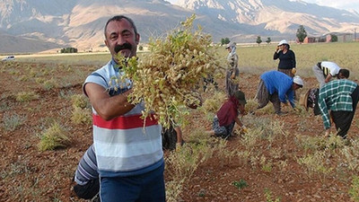 Coronavirus tedavisi gören Maçoğlu hakkında açıklama