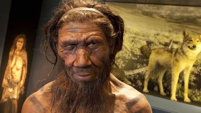 Covid-19 ile ilişkili DNA, Neandertallerden bize geçmiş