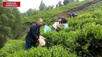 Çay üreticilerinden Çaykur'a tepki: Kimsenin gücü ekmeğimizle oynamaya yetmez yetmeyecektir de