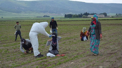 Mevsimlik tarım işçileri açlıkla ölüm arasında: Hem salgın hem de kötü koşulların kıskacındalar