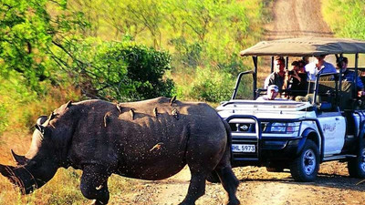 Hindistan'da sel: Sekiz tek boynuzlu gergedan öldü