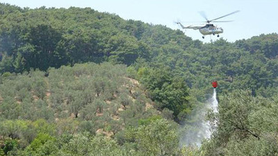 Kaz Dağları'nda 4 noktada aynı anda yangın