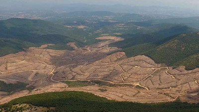 'Kazdağları’ndaki altın madenciliğini pandemi nedeniyle durdurun' başvurusu