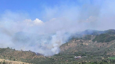 Muğla'da ormanlık alanda yangın