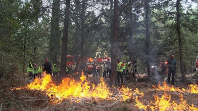 Orman Bakanı 'her türlü kayıp olabilir' demişti: 2019’da 486 orman işçisi yaşamını yitirdi