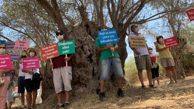 Zeytinlik alana yapılmaya çalışılan yarış pistine karşı protesto