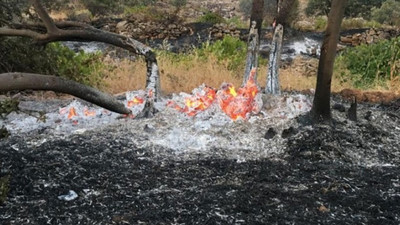 Mardin'deki yangın, sokağa çıkma yasağı kaldırınca yurttaşlar tarafından söndürüldü