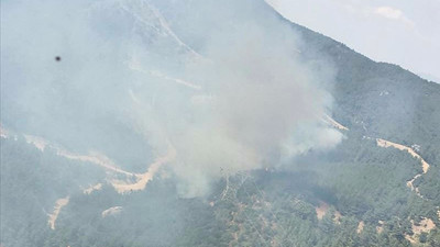 İzmir’de orman yangını