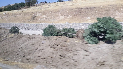 Şrınak'ta yol çalışması için ağaçlar söküldü