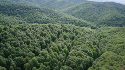 Trakya’daki tarımı alanları yapılaşmaya açılabilecek