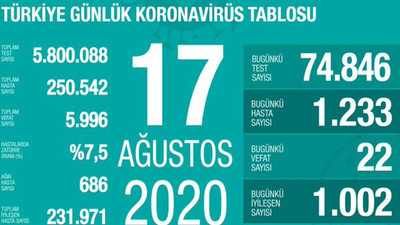 Türkiye'de Coronavirus vaka sayısı 250 bini geçti, ağır hasta sayısı artıyor