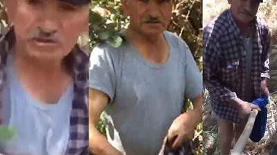 Sivas'ta köpeğe cinsel saldırıda bulunan adam yakalandı