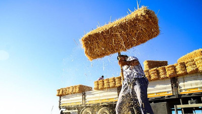 Tonu 1000 liraya yaklaşan saman fiyatları et ve süte de yansıyacak