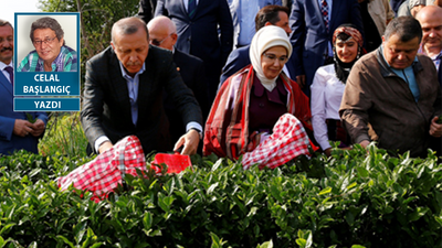 ‘Adalet’ hukuku bıraktı, Saray’ın arka bahçesinde çay topluyor