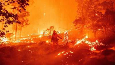 California'da 800 bin hektardan fazla orman yandı