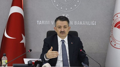 Bakan Pakdemirli: Adana'daki yangın kontrol altına alındı