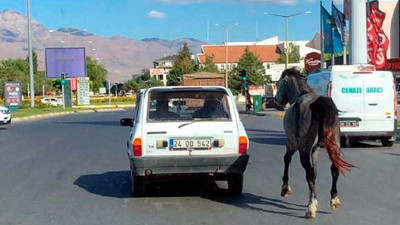 Arabaya bağladıkları atı kilometrelerce koşturdular