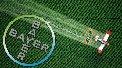 Bayer Monsanto'nun ürettiği ilaçların çevreye ve sağlığa zararlı olduğuna karar verildi