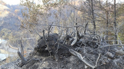 Hatay'daki orman yangını 33 saat sonra söndürüldü