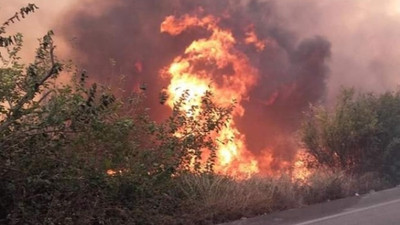 Mersin ve Hatay'da orman yangını