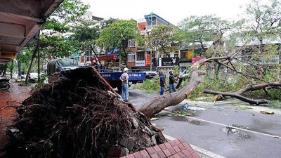 Vietnam'da tayfunda ölenlerin sayısı 13'e çıktı