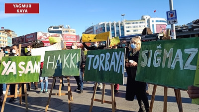 Ekolojik yıkım ve talan: Doğaya karşı bu kadar gaddar olmak zorunda mısınız?