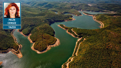 İğneada sizin eve kaç kilometre uzakta?