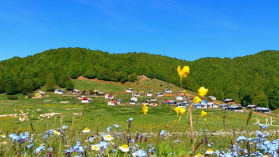 Tokat ve Amasya'da sinayürle altın aranmasına izin verildi