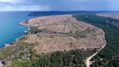 Sinop’ta yapılacak nükleer santralin ÇED raporu, olmayan sözleşmeye dayandırılmış