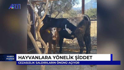 'Ferdinand'ın Çiftliği'ndeki mağdur hayvanların sayısının artmaması için yasa çalışmaları hızlandırıldı