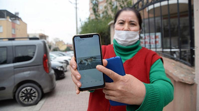 Mersin'de 15 kedi zehirlendi