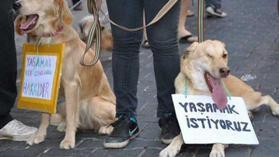 AKP bir kez daha tarih verdi: Önümüzdeki haftalarda yasalaştıracağız